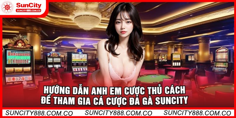 Hướng dẫn anh em cược thủ cách để tham gia cá cược đá gà Suncity