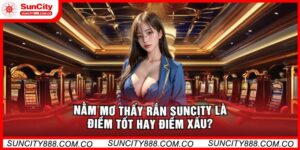 Nằm Mơ Thấy Rắn Suncity Là Điềm Tốt Hay Điềm Xấu? 