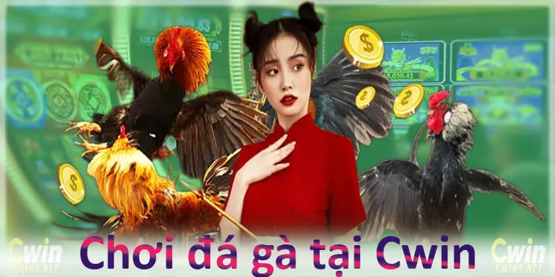 Chơi đã gà trực tuyến tại Cwin