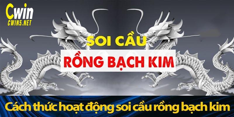 Hướng dẫn soi cầu rồng bạch kim