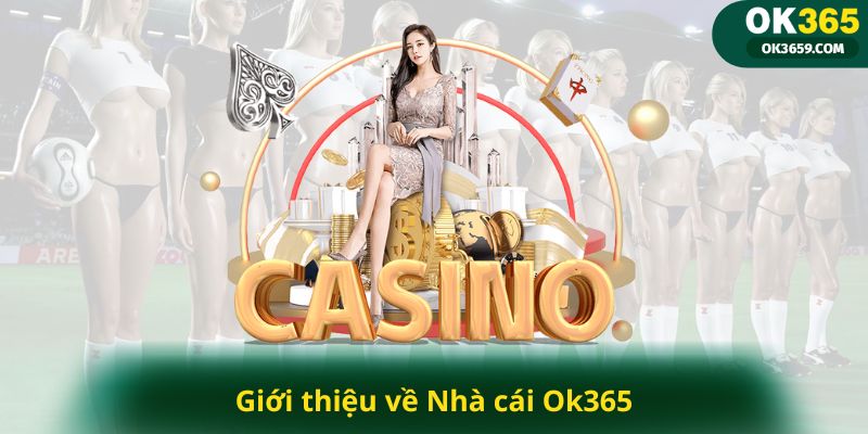 Giới Thiệu Những Điểm Nổi Bật Khi Trải Nghiệm OK365